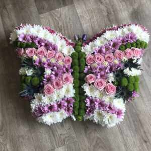 Large mixed butterfly