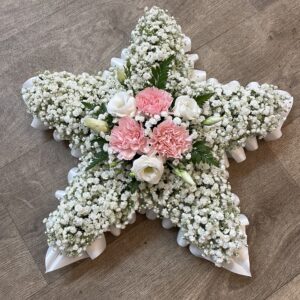 Small Gypsophila Star